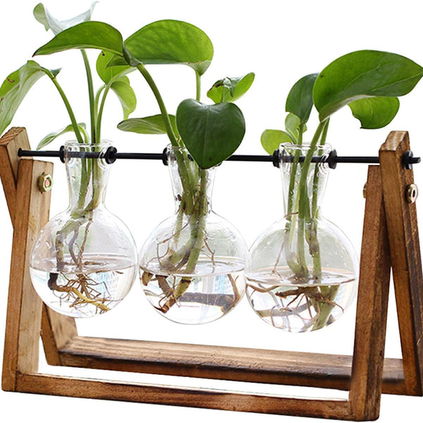 Hydroponic Plant Glass Vase - Bulb Vase with Wooden Stand