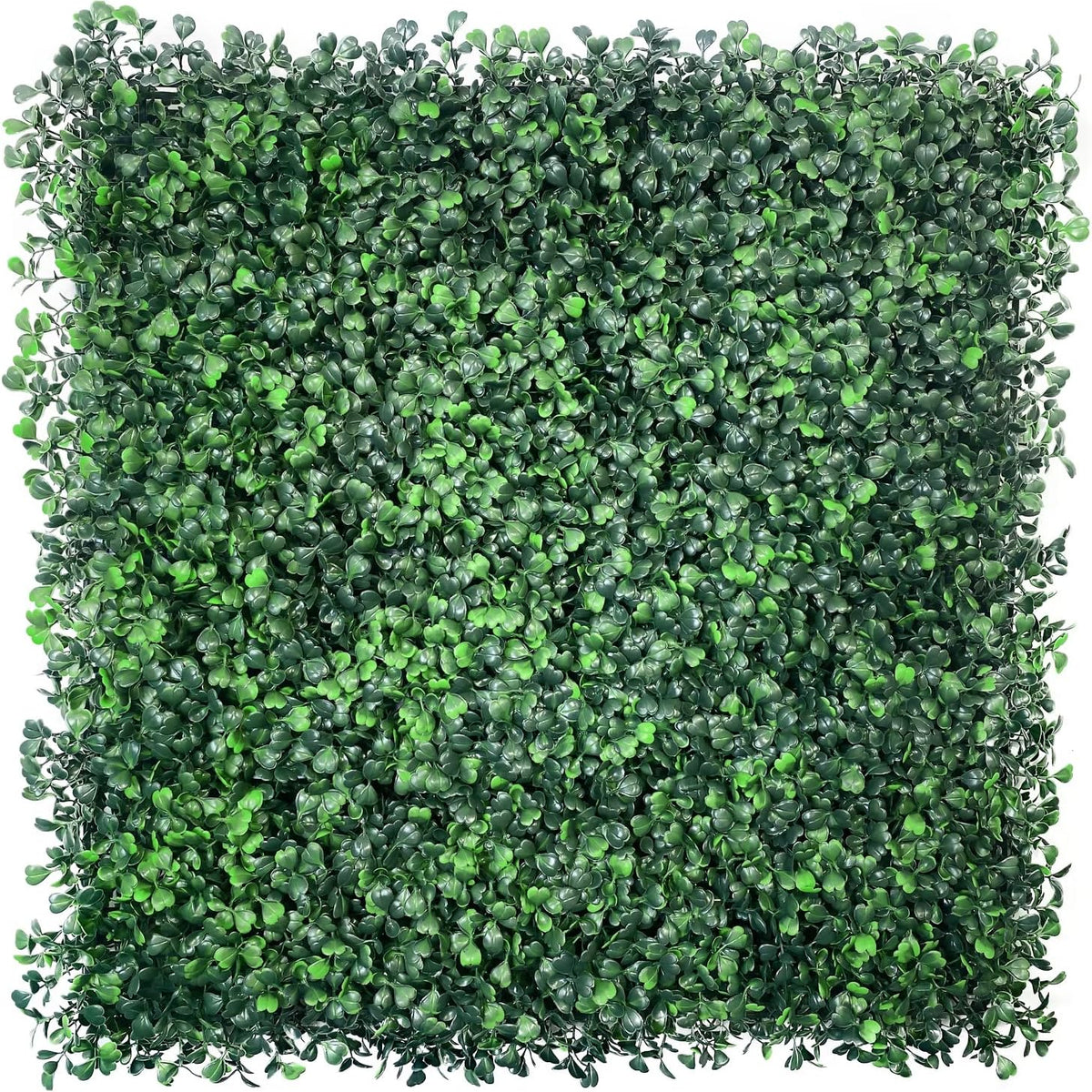 Artificial Grass Wall Panels - Hedge Boxwood Panels