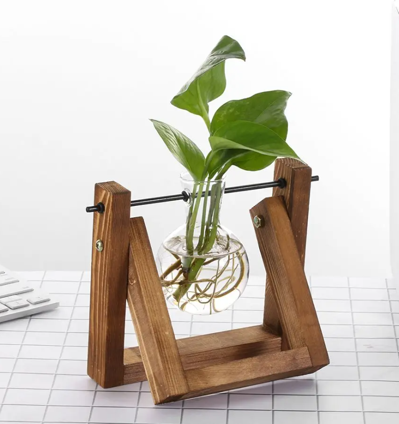 Hydroponic Plant Glass Vase - Bulb Vase with Wooden Stand