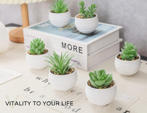 Artificial Succulent Plants in White Ceramic Pots