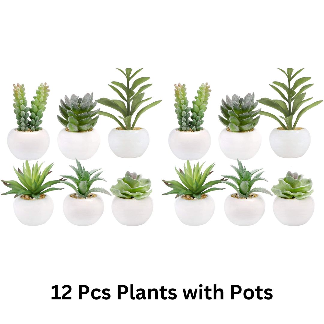 Artificial Succulent Plants in White Ceramic Pots