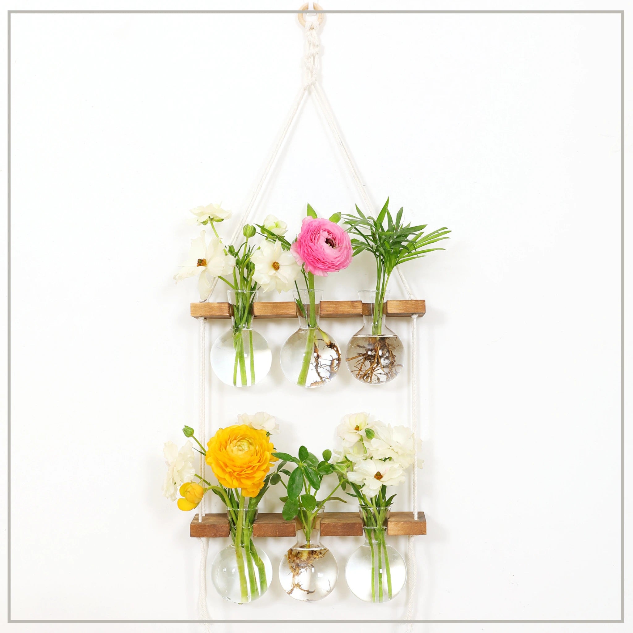 Wall Hanging Planter - 6 Bulbs