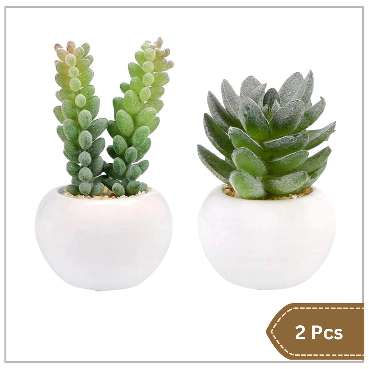 Artificial Succulent Plants in White Ceramic Pots