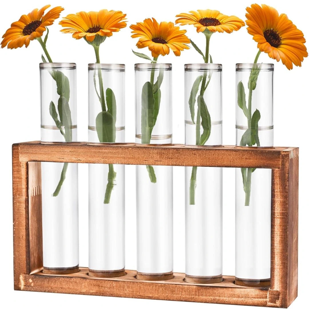 Glass Wooden Stand with 5 Test Tubes
