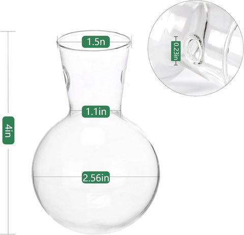 Glass Bulbs - 2 Pcs
