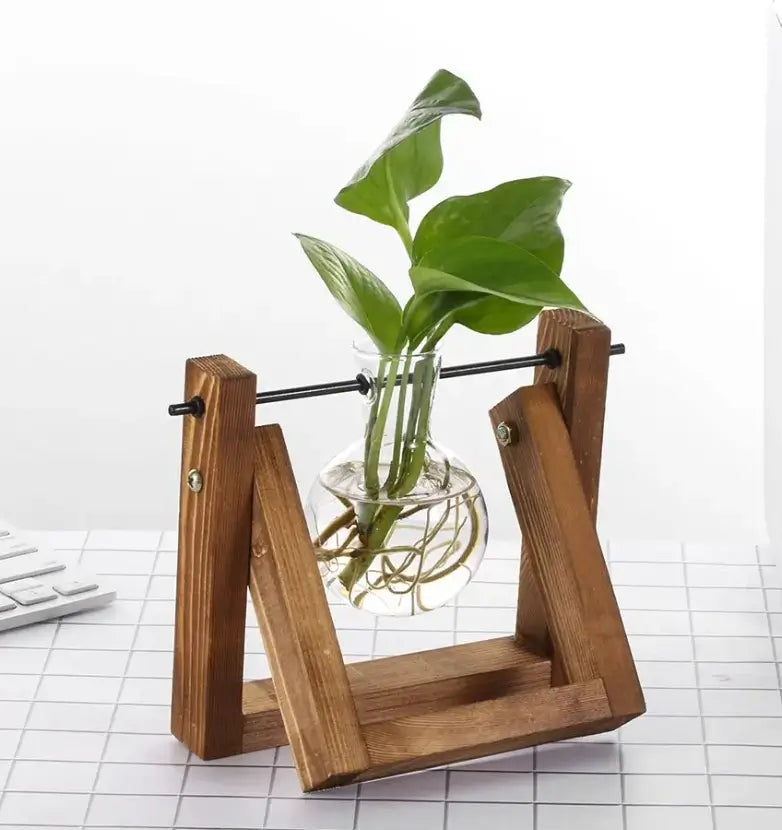 Hydroponic Plant Glass Vase