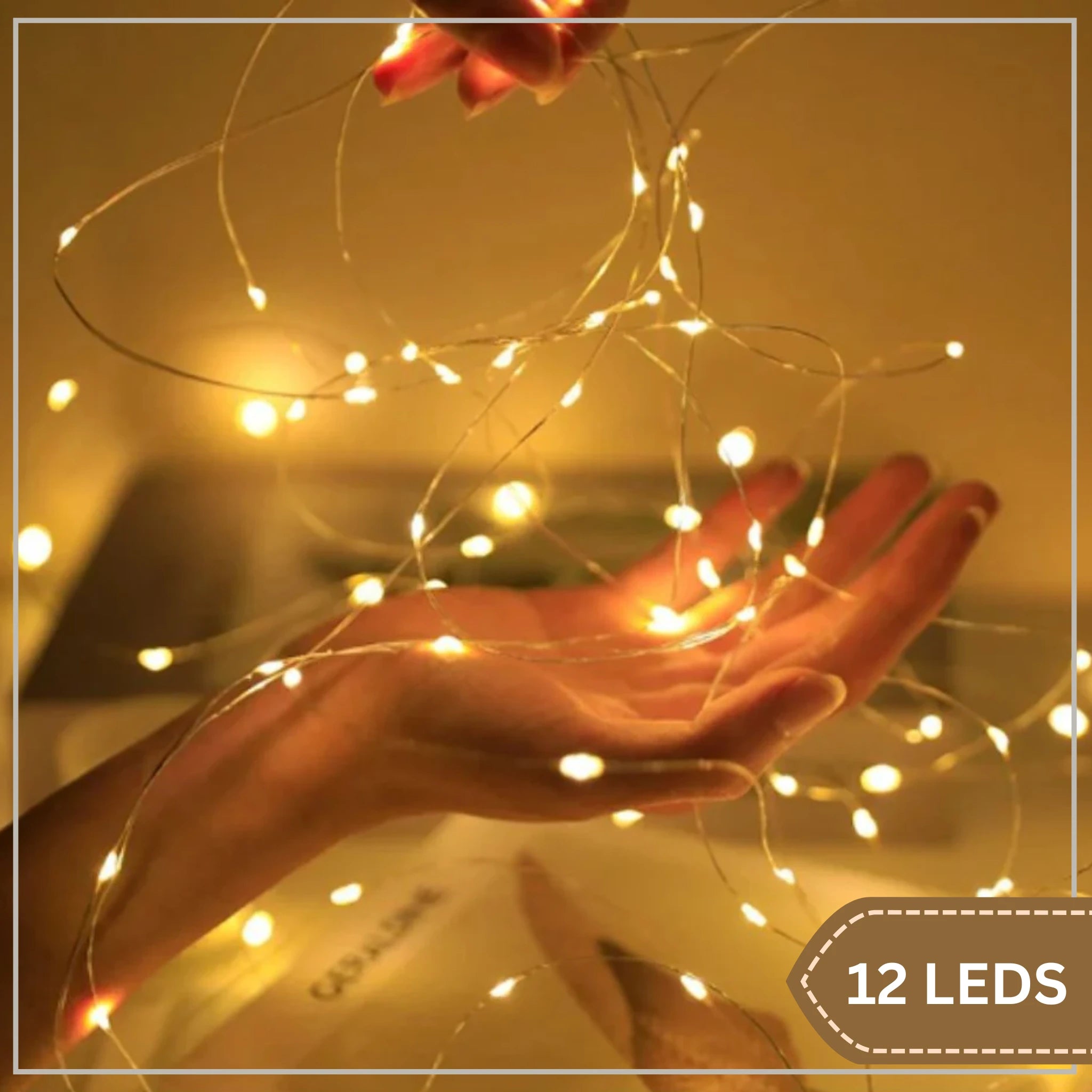 Fairy Lights - LED Lights Pack of 6/12