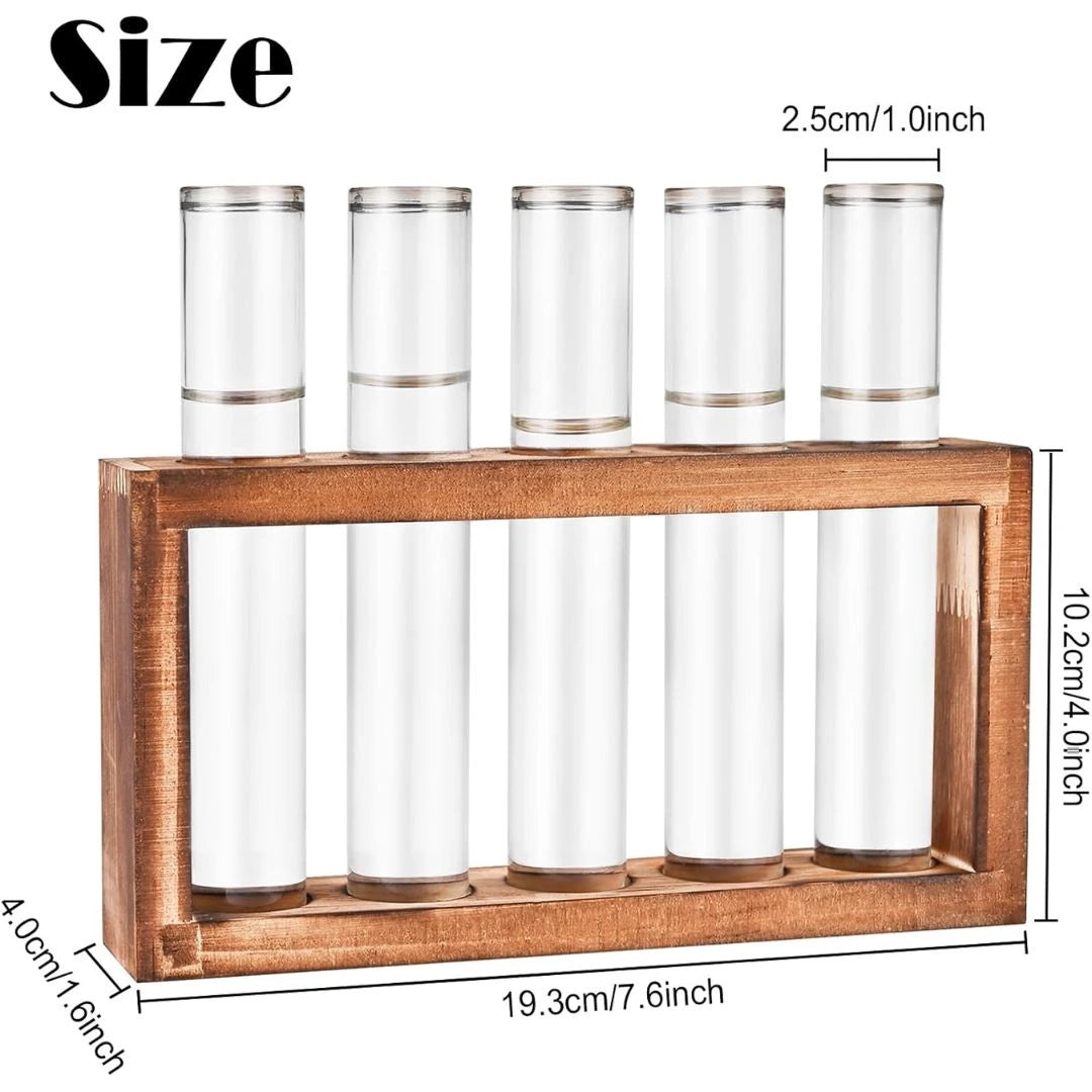 Glass Wooden Stand with 5 Test Tubes