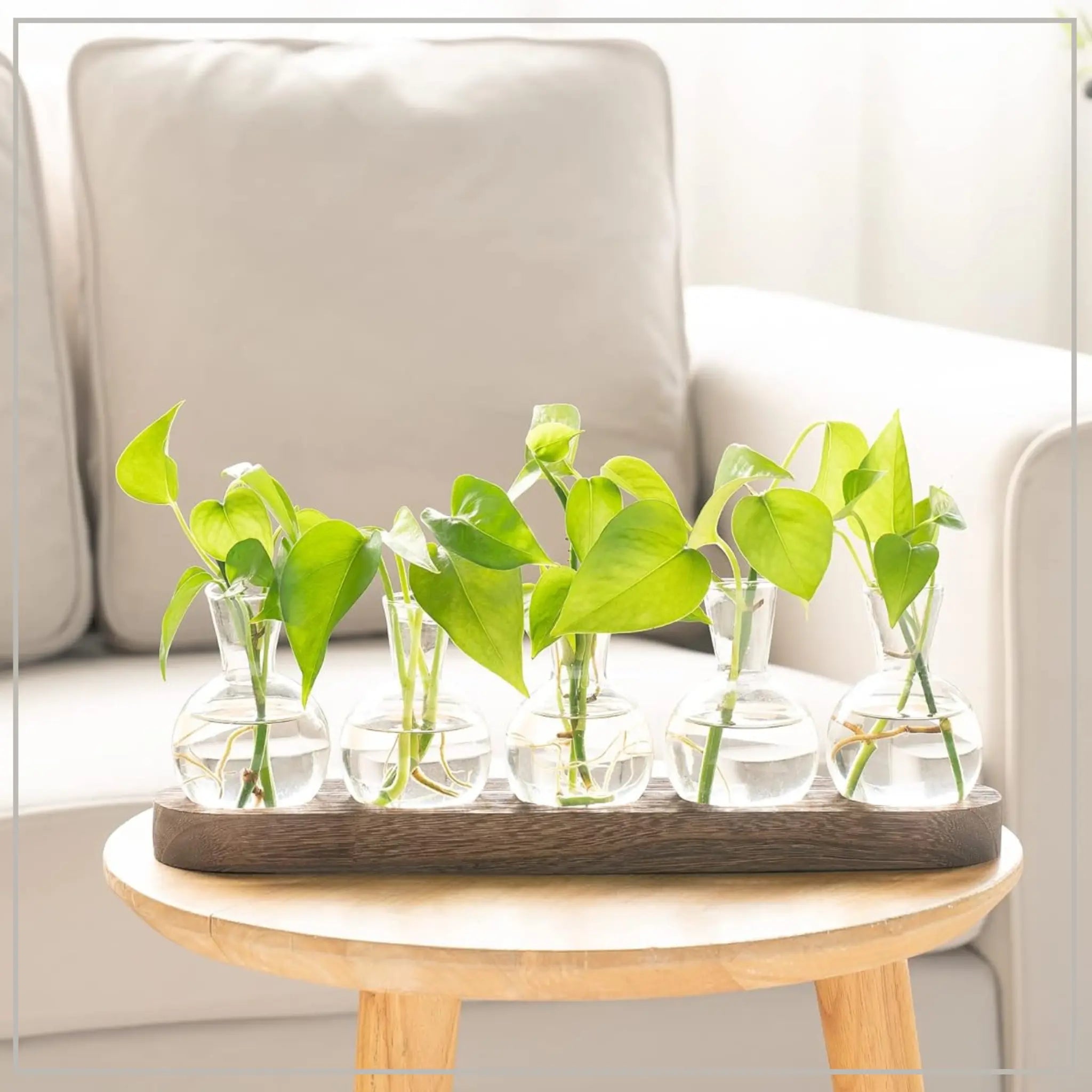 Wooden Tray Hydroponic Glass Vase