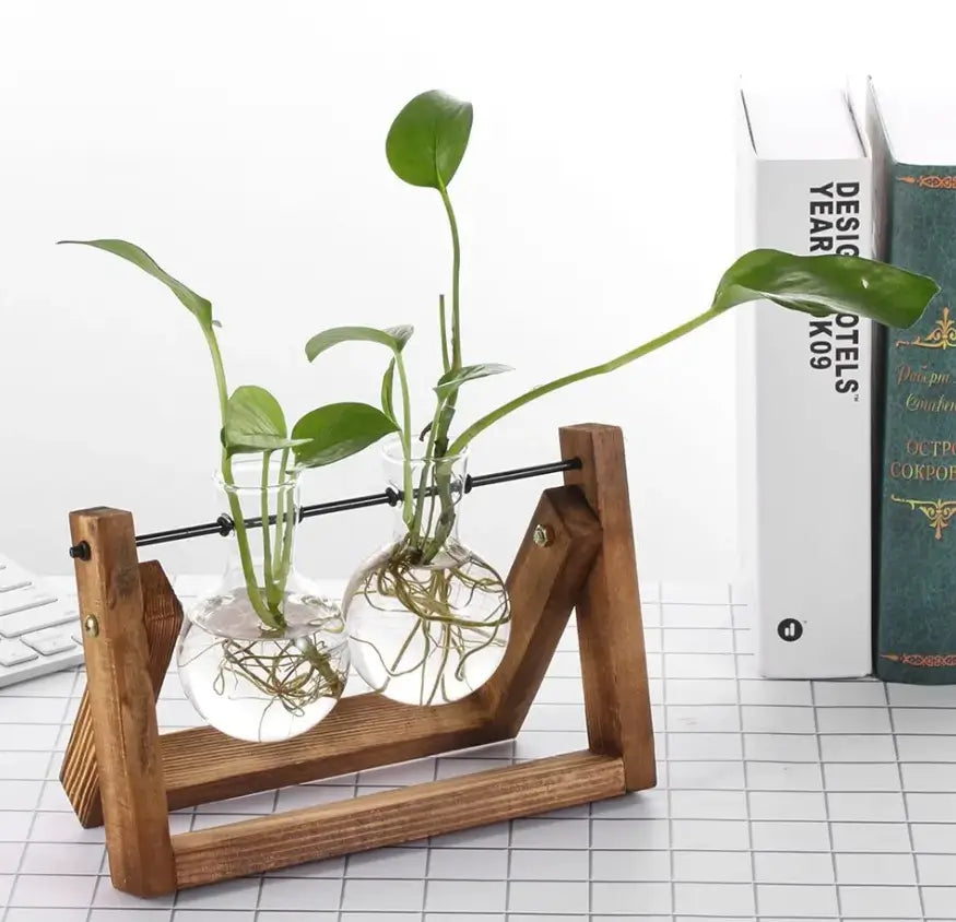 Hydroponic Plant Glass Vase