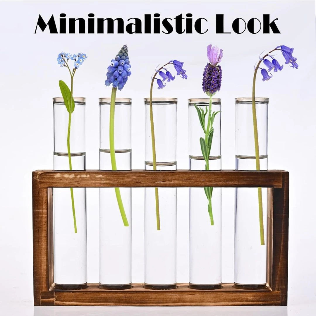 Glass Wooden Stand with 5 Test Tubes