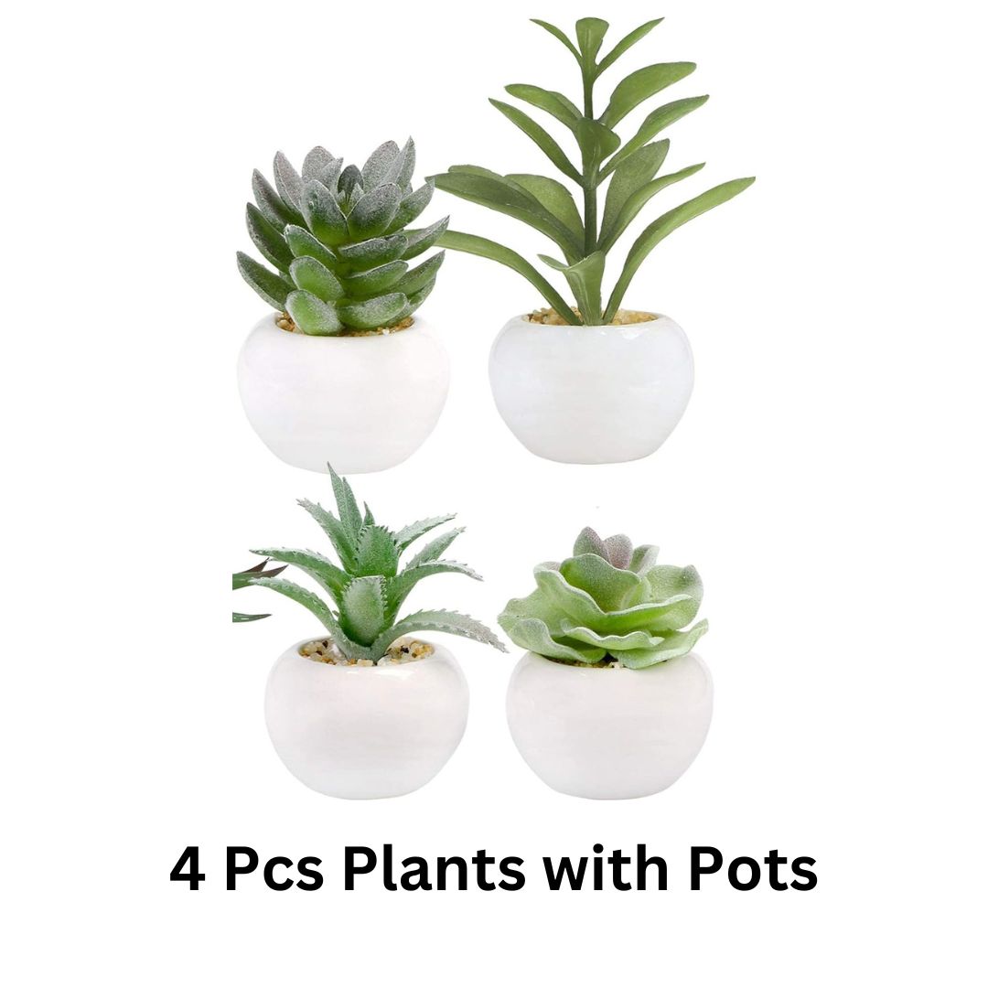 Artificial Succulent Plants in White Ceramic Pots