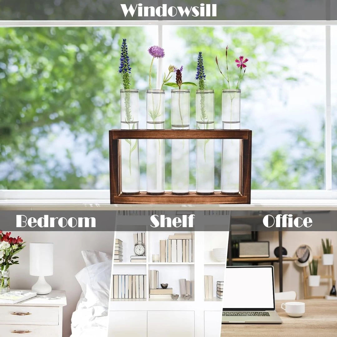 Glass Wooden Stand with 5 Test Tubes