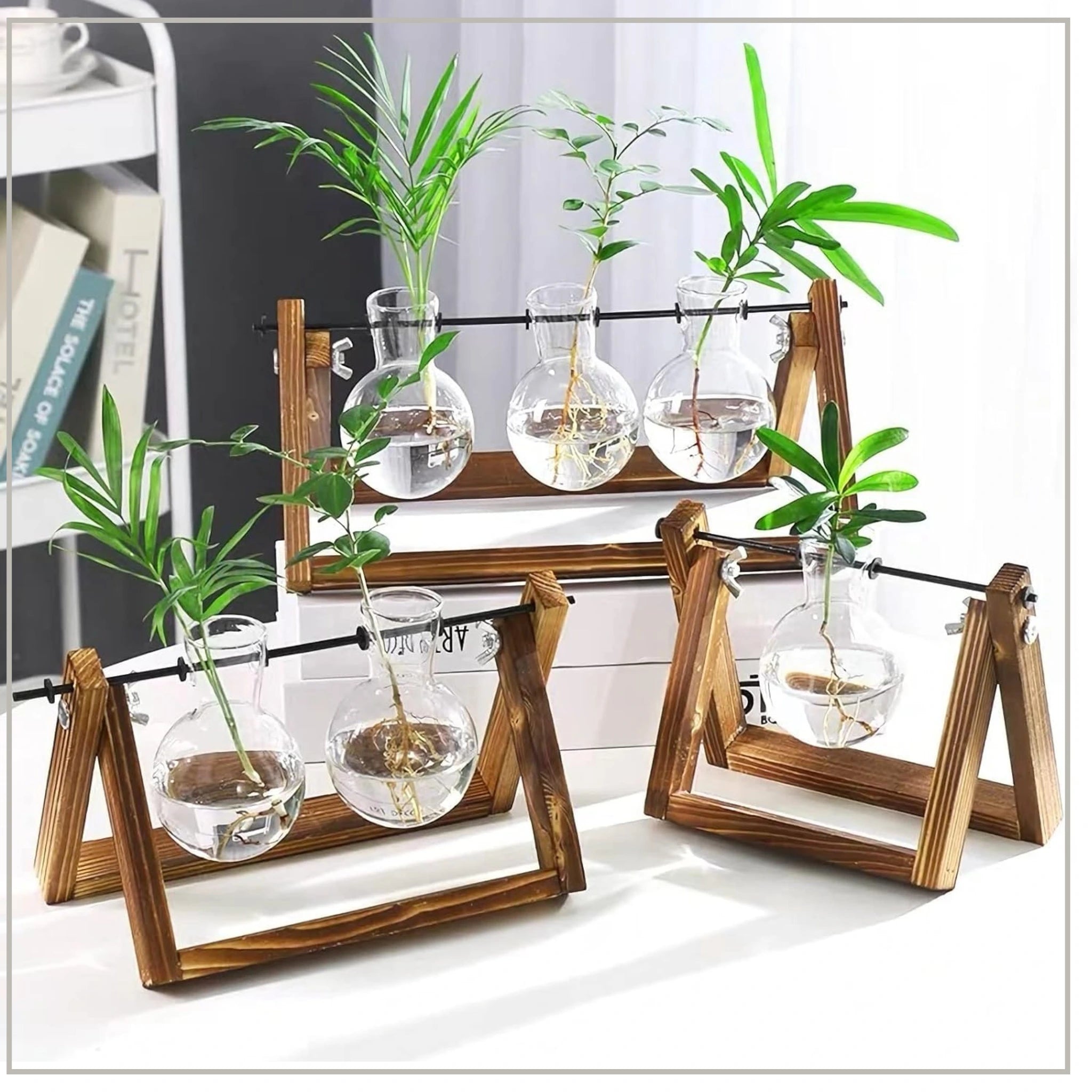 Hydroponic Plant Glass Vase