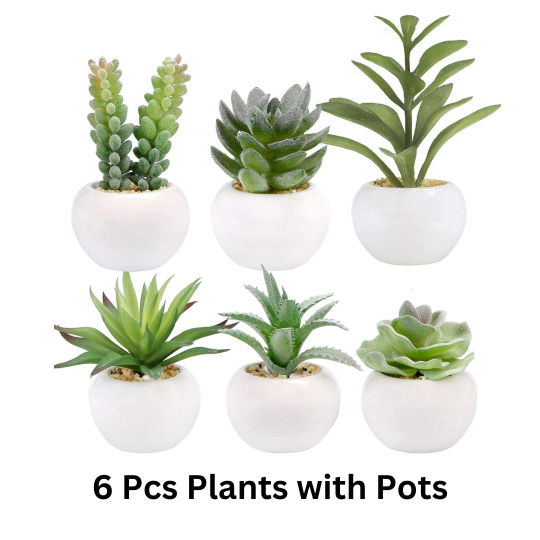 Artificial Succulent Plants in White Ceramic Pots