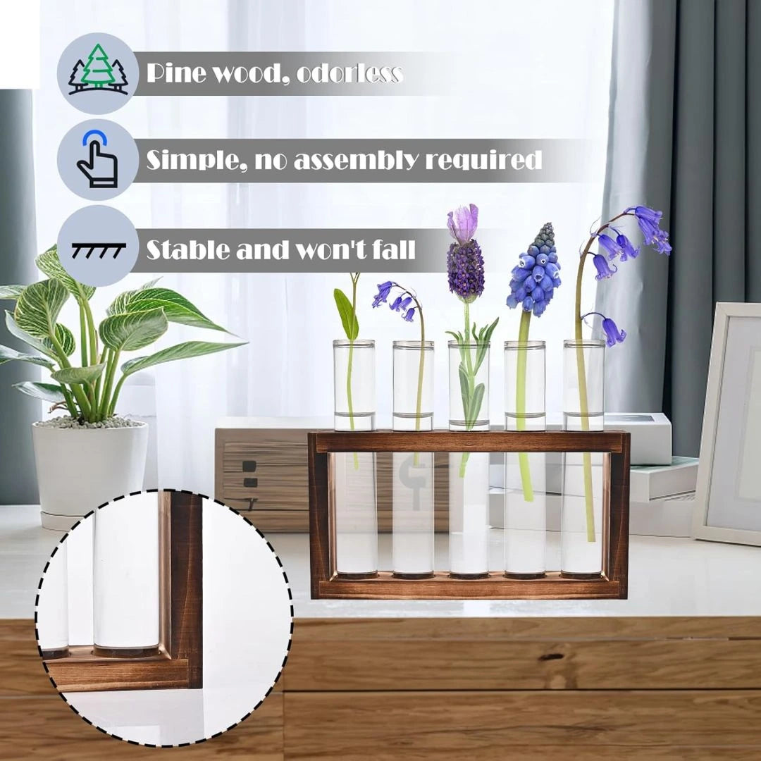 Glass Wooden Stand with 5 Test Tubes