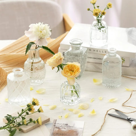 Bud Vases - Set of 6