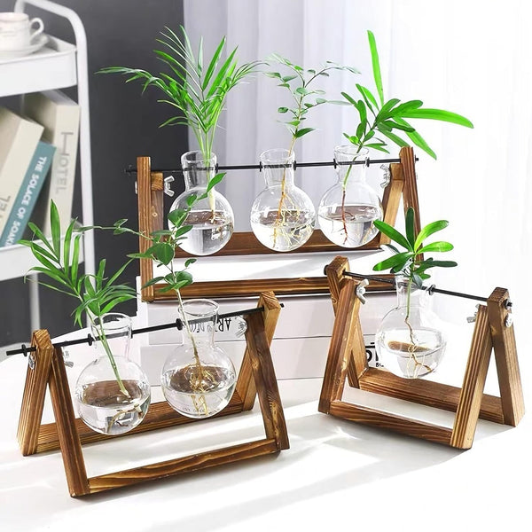 Hydroponic Plant Glass Vase - 3 Bulb Vase with Wooden Stand