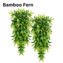  Bamboo Fern