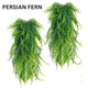 Persian Fern