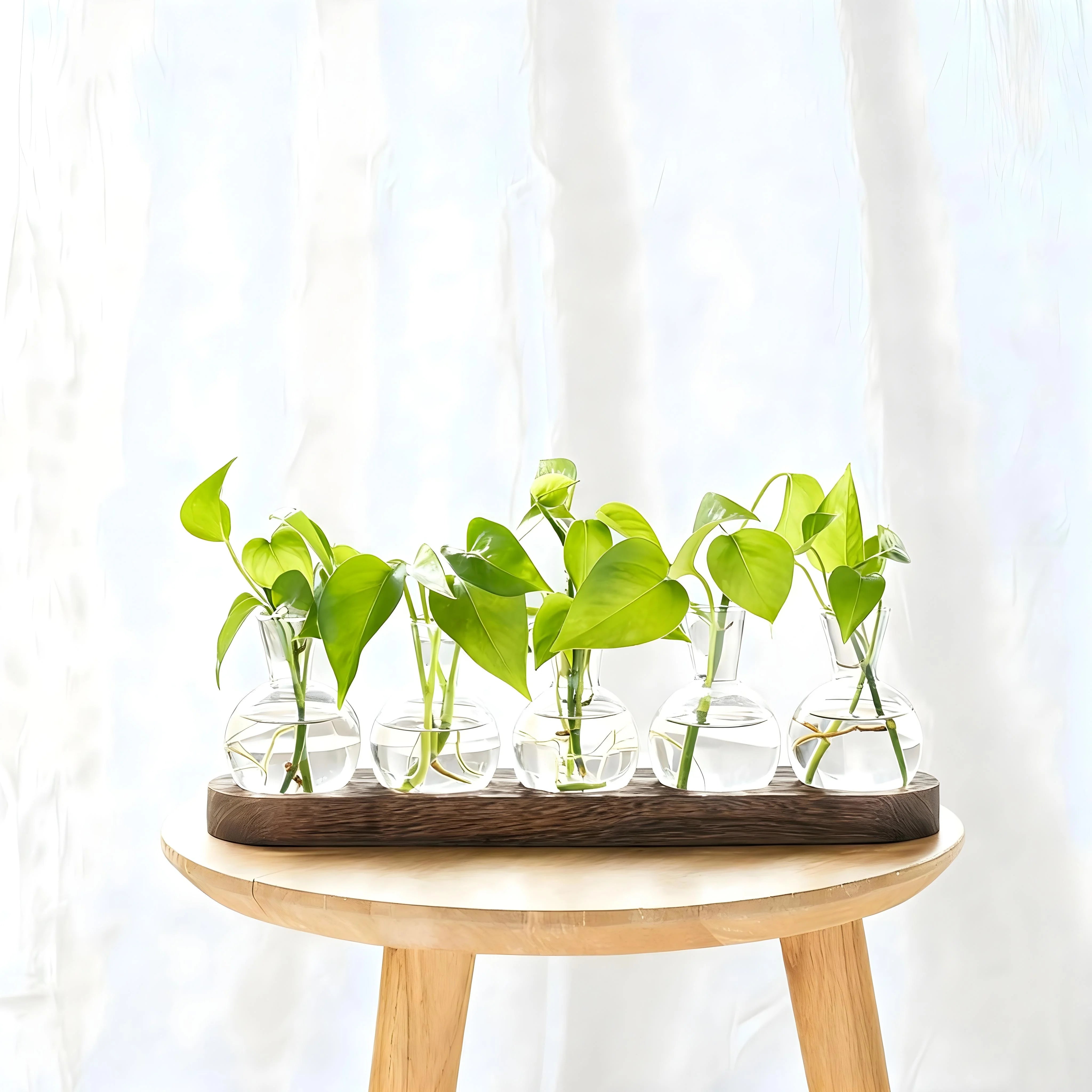 Wooden Tray Hydroponic Glass Vase