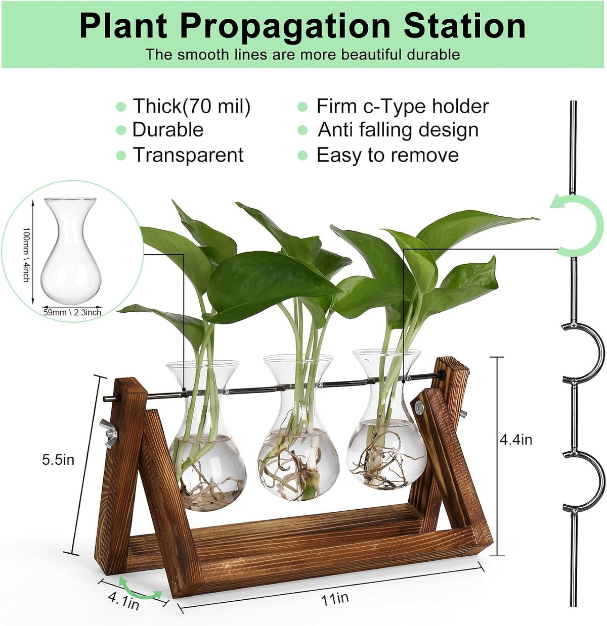 Hydroponic Plant Glass Vase