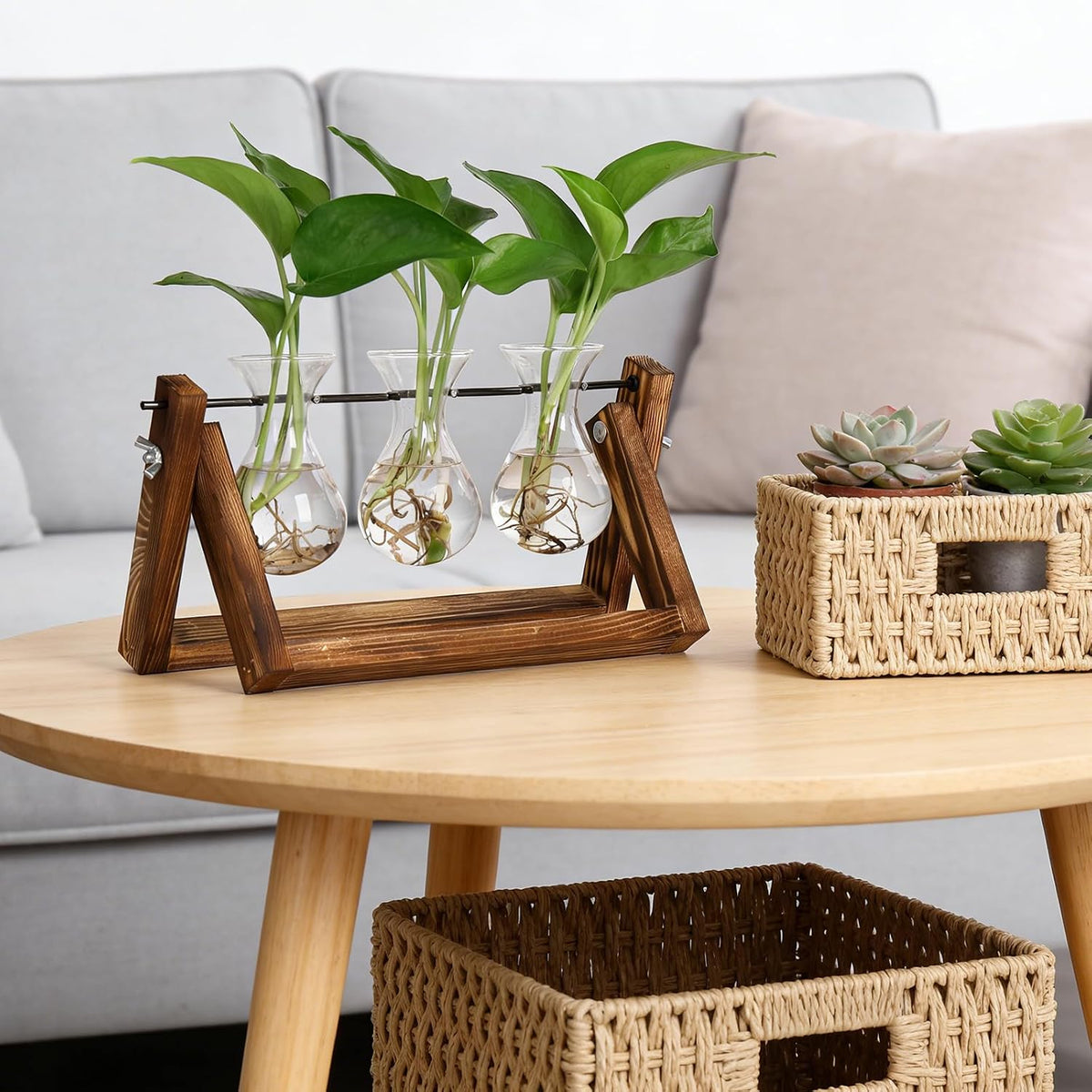 Hydroponic Plant Glass Vase
