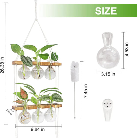 Hanging Planter with Wooden Stand - 6 Bulbs