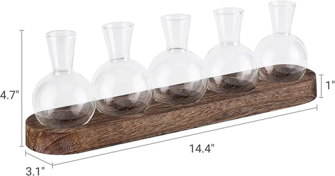 Wooden Tray Hydroponic Glass Vase