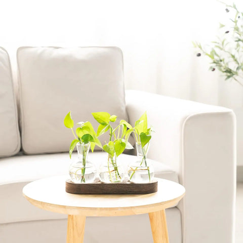 Wooden Tray Hydroponic Glass Vase