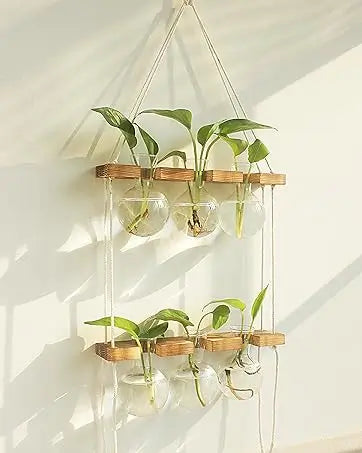 Hanging Planter with Wooden Stand - 6 Bulbs