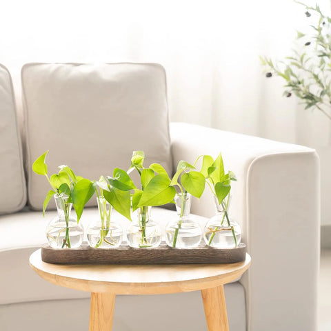 Wooden Tray Hydroponic Glass Vase