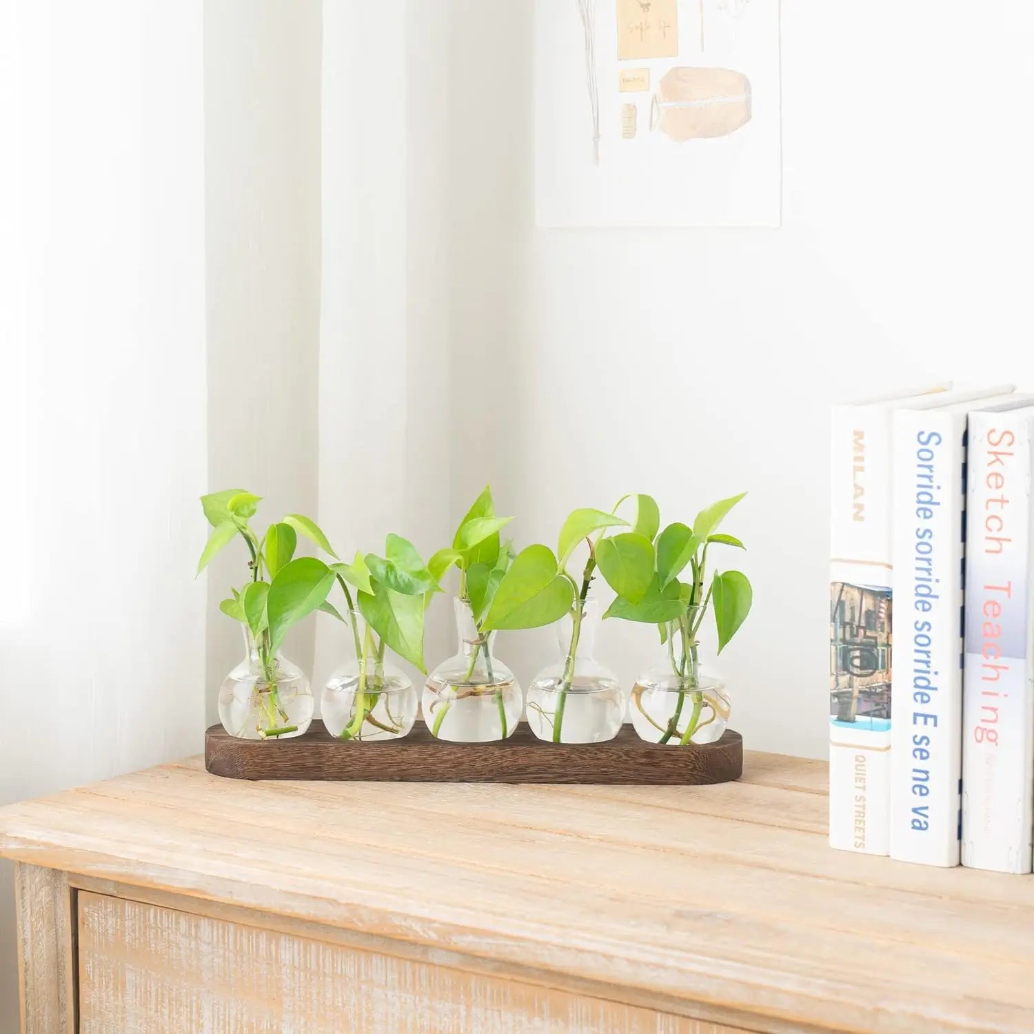 Wooden Tray Hydroponic Glass Vase