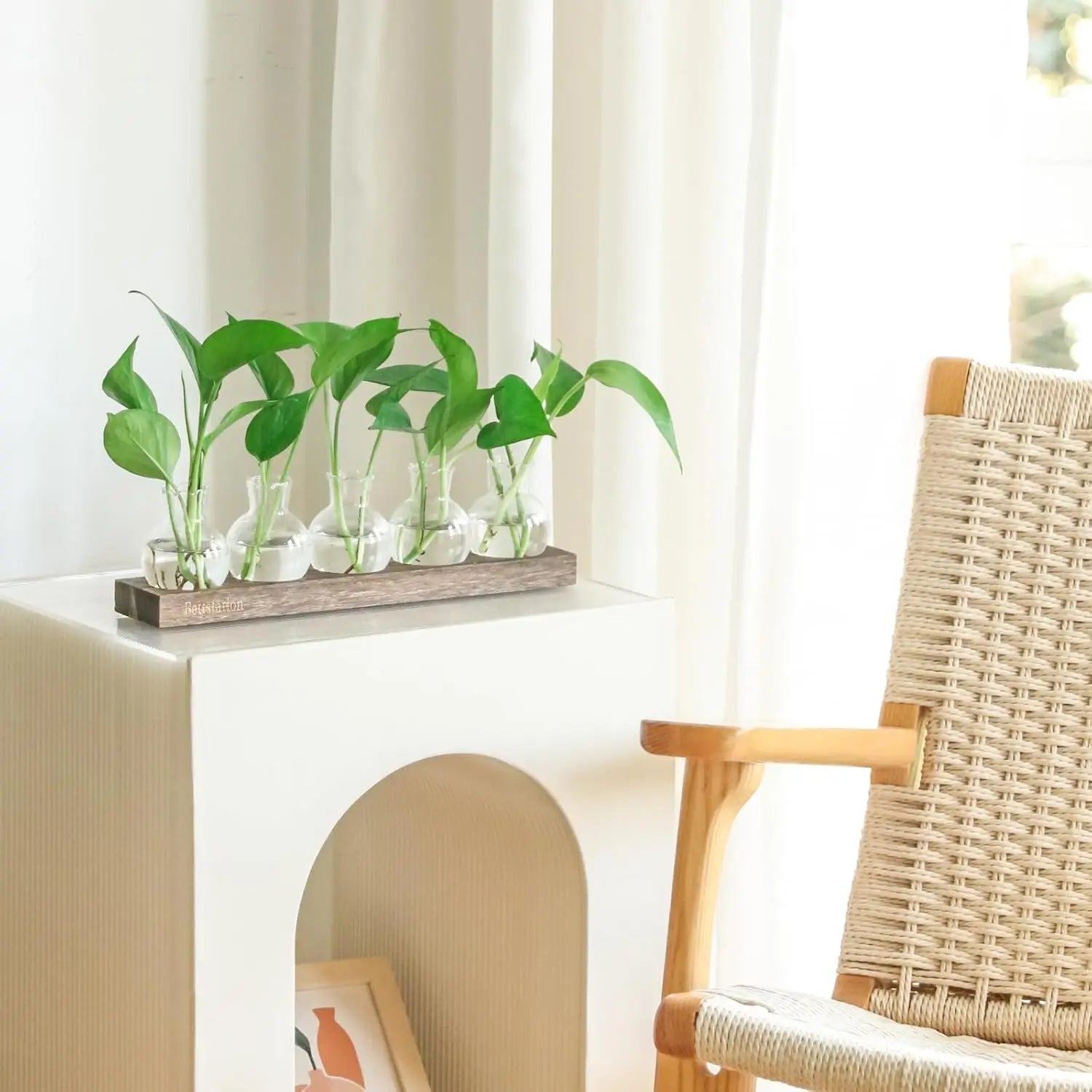 Wooden Tray Hydroponic Glass Vase